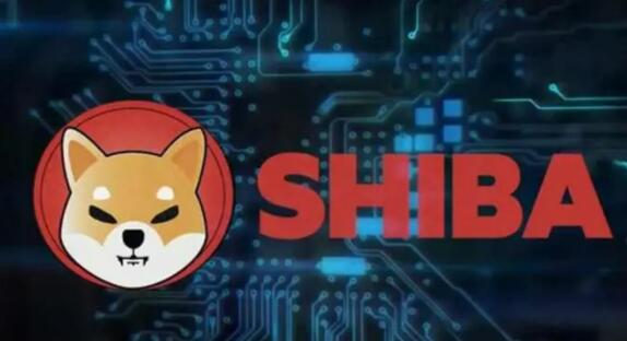 Bitwise：投资者应该买入比特币还是黄金？插图