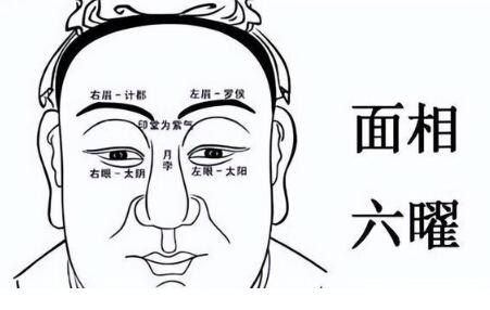 梦见老板做爱意味着什么插图