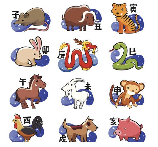 生肖蛇养什么植物好旺财插图