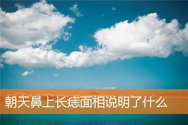 后天鼻子上长痣代表什么(鼻部痣面相)插图