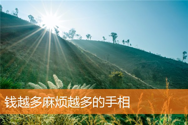 手相学最有钱人的手相(一般有钱人手相)插图