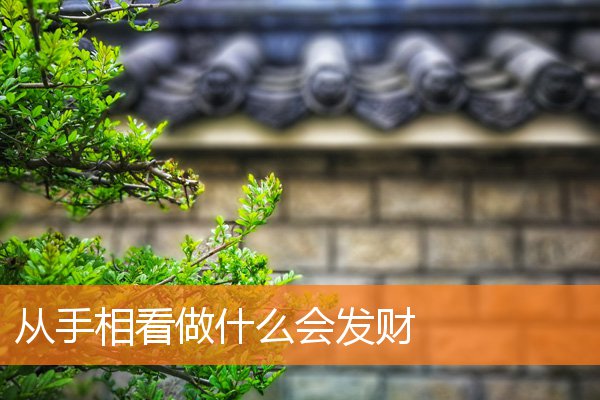 什么样的手相会发大财(从手相怎么看财运)插图