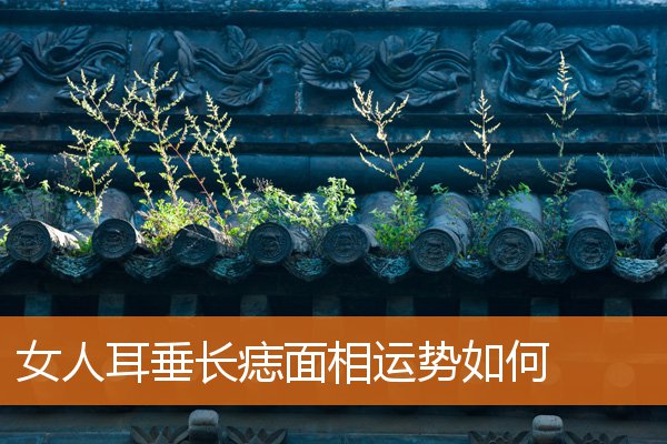 女人耳垂上方后天长痣代表什么(耳垂上长新痣代表什么)插图