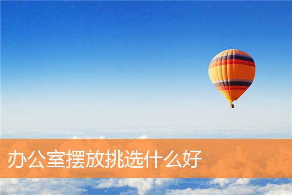办公室的摆放有什么讲究(办公室摆放什么提升档次)插图