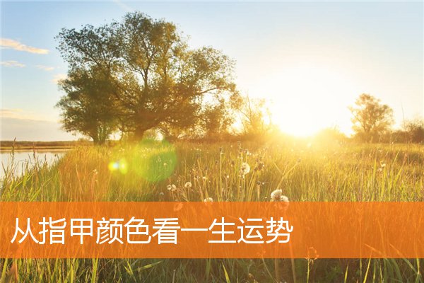 指甲颜色和运势(通过收集指甲来判断运势)插图