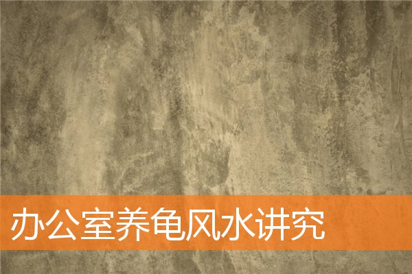办公室养龟风水(办公室养龟的摆放位置)插图