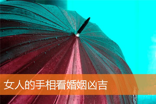 手相看婚姻线图解 女人(女性手相看婚姻)插图