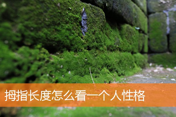 小拇指长度能看出性格吗(拇指长短看性格特点)插图