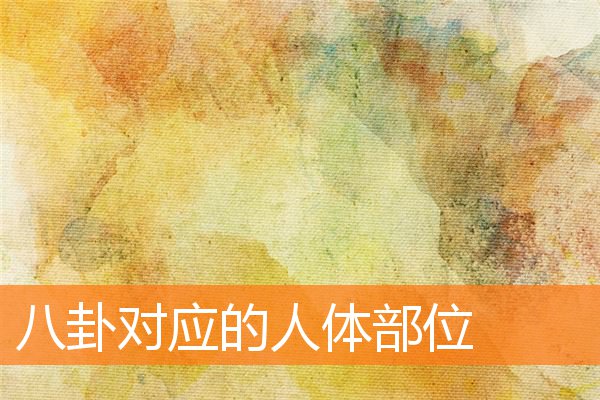 八卦对应人体部位视频(八卦九宫相对应的人体部位)插图
