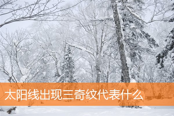 太阳线三奇纹图解(太阳线中的三奇纹图解)插图