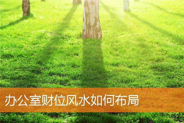 办公室风水财位在哪个方向(办公室聚财风水布局)插图