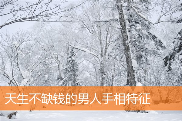 天生不缺钱的手面相(男人存不住钱的人面相手相)插图