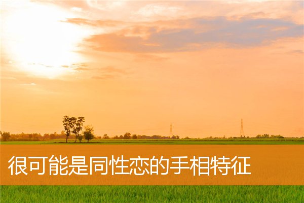 手相如何看同性(手相看是不是同性恋)插图