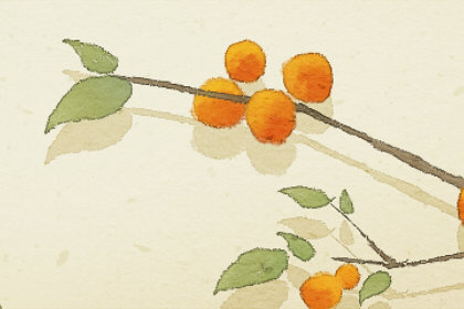 梦见摘红樱桃吃什么预兆(梦见樱桃树上结满红樱桃什么兆头)插图