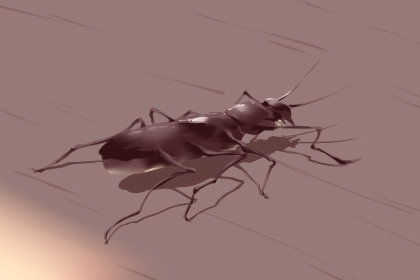 梦见一屋子虫子(梦见好多虫子爬出来了是什么预兆)插图
