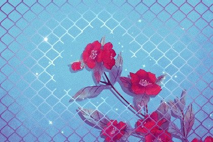 男火女金的夫妻命运怎样化解(男火女水生财吗)插图
