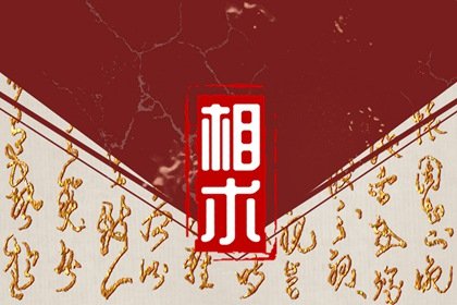 鼻子丰满的男人面相(男人有福气的鼻相)插图