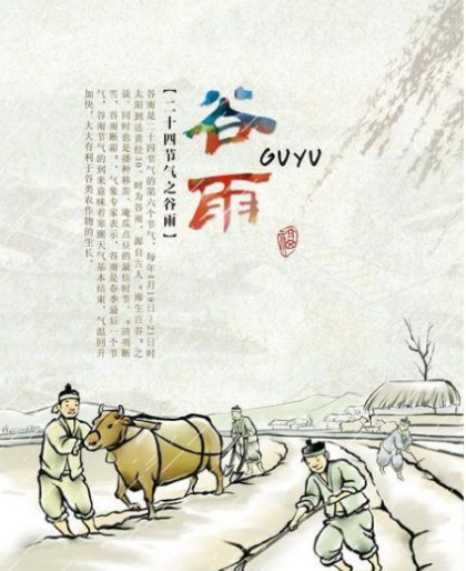 2022年虎宝宝在谷雨时节出生好吗(2022谷雨出生的虎宝叫什么名字)插图