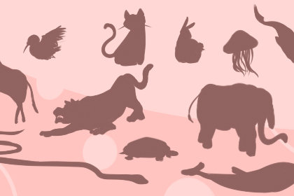 女人梦见头发上有蜘蛛(女梦见床下有很多蜘蛛什么意思)插图