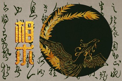 男人鼻头大有肉鼻梁高挺代表什么(男人鼻梁高鼻头大的人命运怎样)插图