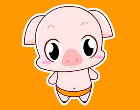 属猪的和属猪婚配能白头到老吗(属猪的人婚配属猪的好吗)插图