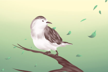 梦见蛋壳里孵出很多漂亮的小鸟(梦见蛋壳里孵出小鸟)插图