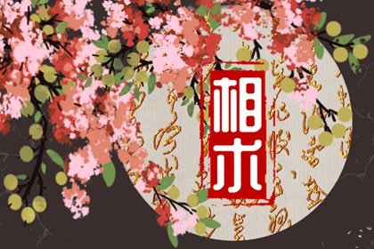 感情线末端分叉形成井字纹(女人婚姻线有岛纹在中指分叉)插图