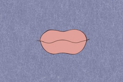 女性手掌财运线是哪条(手掌怎么看财运线)插图