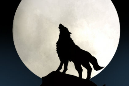 梦见看到黑夜是什么预兆(梦见黑夜是什么征兆)插图