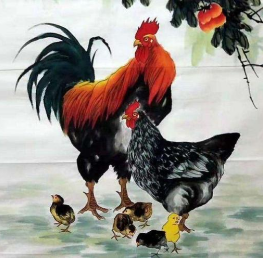 1969年2022年属鸡人的全年运(属鸡1969年2022年运势及运程)插图