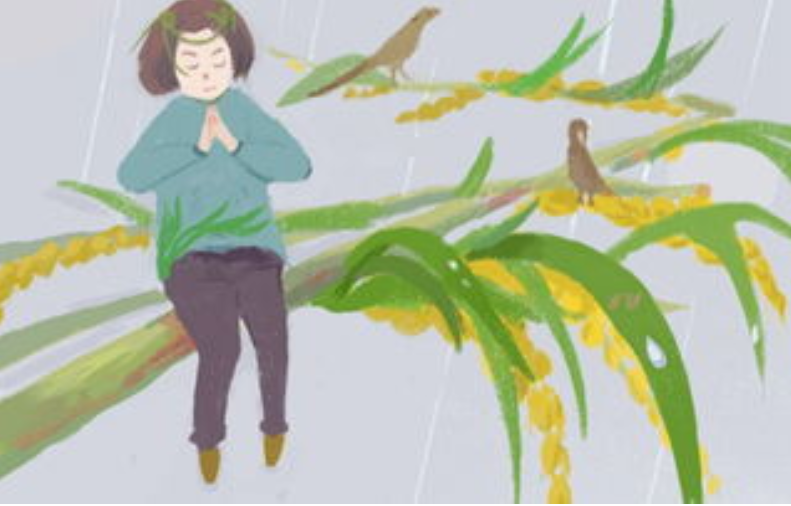 谷雨吃啥饭(今日谷雨应该吃什么饭)插图