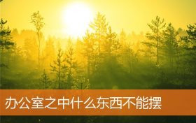办公室正对门的位置摆什么(办公室里不能摆什么)缩略图