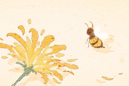 梦见被蜜蜂追什么预兆(梦见蜜蜂成群密密麻麻)插图