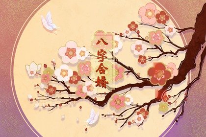 生辰八字看婚姻有没有科学道理(生辰八字看婚姻有没有挫折)插图