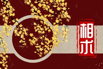 手心凹陷旺夫(手掌心凹进去是聚财吗)插图