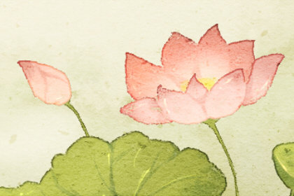 梦见盛开的红花是啥意思(梦见盛开的红花很漂亮)插图