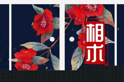 为什么下巴有疤运势更好呢(下巴最下边痣代表什么)插图