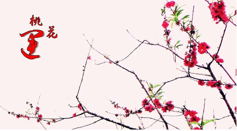 如何摆脱烂桃花命运 命中桃花运弱怎么办插图