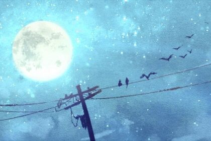 八字乙木财星生于丑月 乙木生卯月有官杀怎么找用神插图