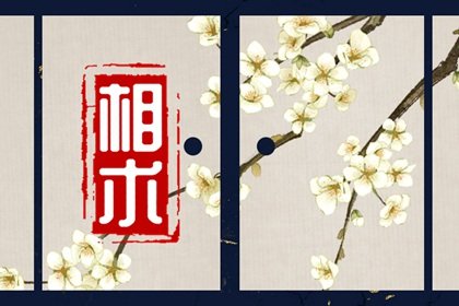 什么样的面相男人旺妻 旺妻的面相图解插图
