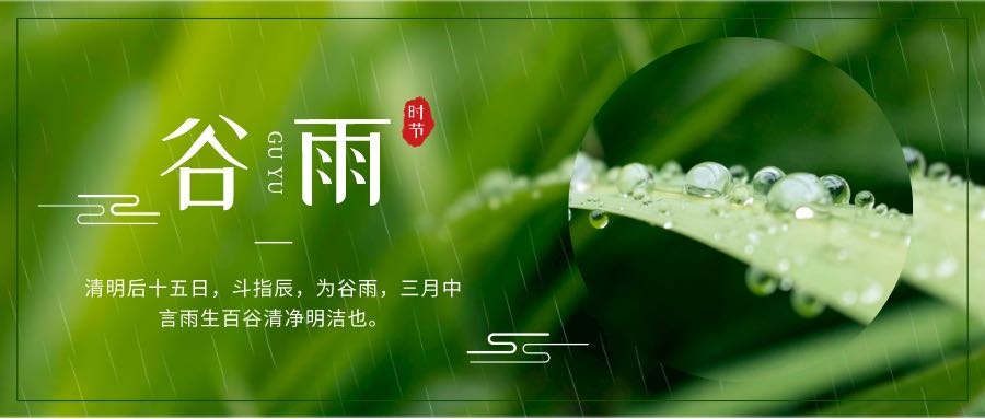 尔雅算命先生一条街(算命一条街尔雅)插图