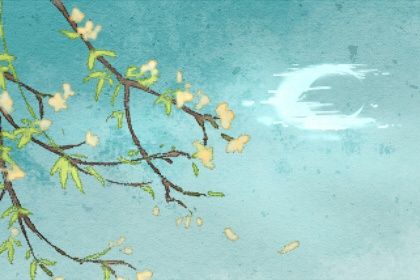 丁亥日子女命详解(八字双亥的女命)插图