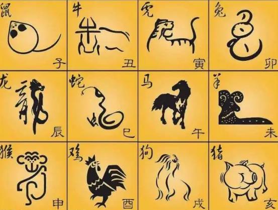 2022年十二生肖流年运势详解(2022年十二生肖整体运势排行榜)插图