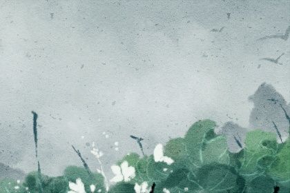 乙木命火土都旺好不好 乙木命的女人遇己土插图