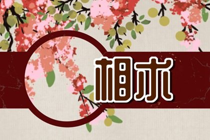 脸上痣分布图含义 人脸上的痣长在哪个位置比较好插图