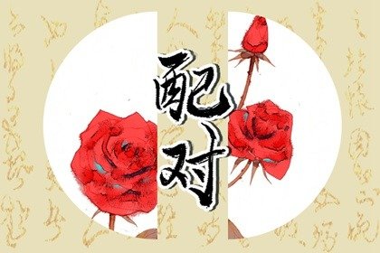 乙巳日男命婚姻归宿(乙巳日男命何时遇到正缘)插图