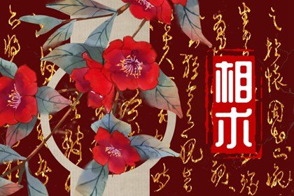 手上十个簸箕和斗代表什么(手掌三角形纹在哪最好)插图