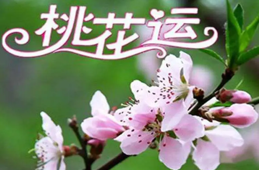 为什么一个人的桃花多 为什么有的人一直有桃花插图