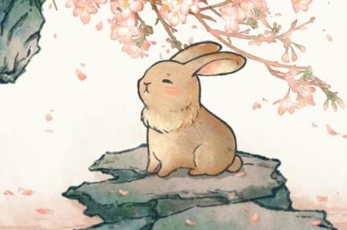 2022年属兔人的全年运势怎么样(属兔人5月运势详解)插图