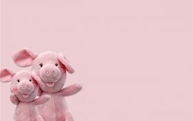 2023年83年属猪女运程(83年属猪的人2021年的运势及运程)缩略图 2023年83年属猪女运程(83年属猪的人2021年的运势及运程)缩略图